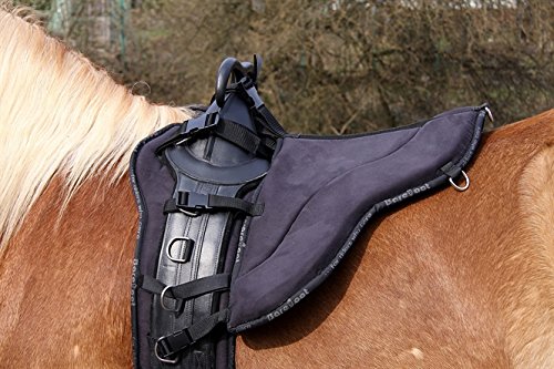 Die Top 16 der besten Longiergurt Unterlagen im Überblick – Ratgeber